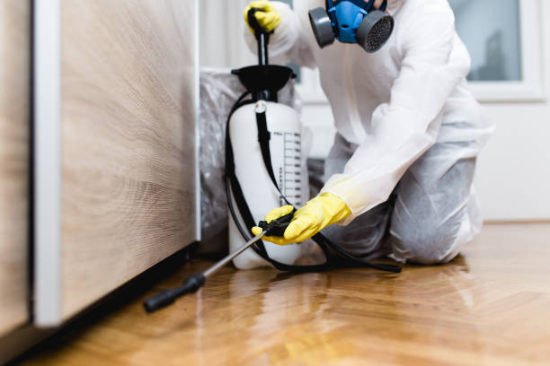 Insect Control in Red Springs, NC