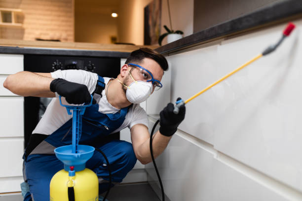 Best Emergency Pest Control  in Red Springs, NC