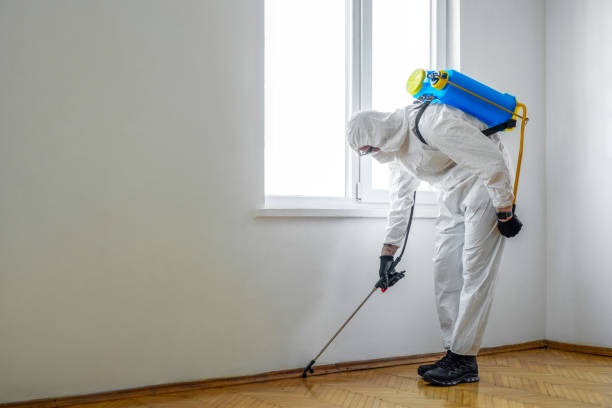 Best Pest Control for Restaurants  in Red Springs, NC