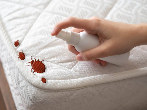 Red Springs, NC Pest Control Company