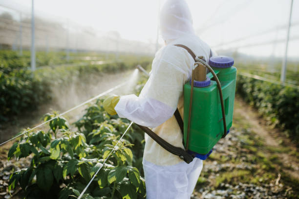 Professional Pest Control in Red Springs, NC